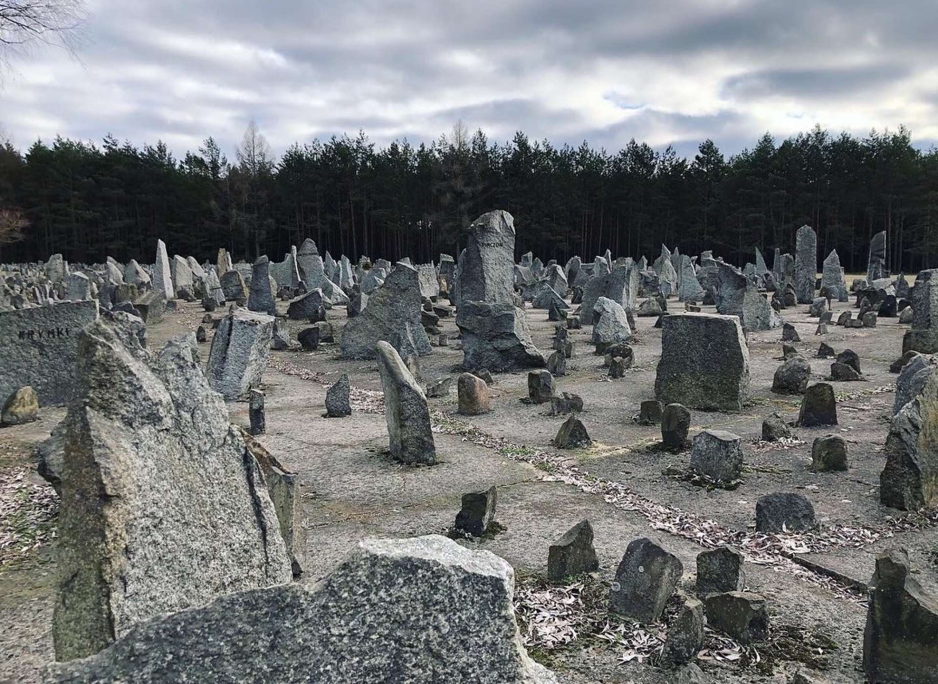 Holocaust EFT 3_0.jpg?h=943238f6